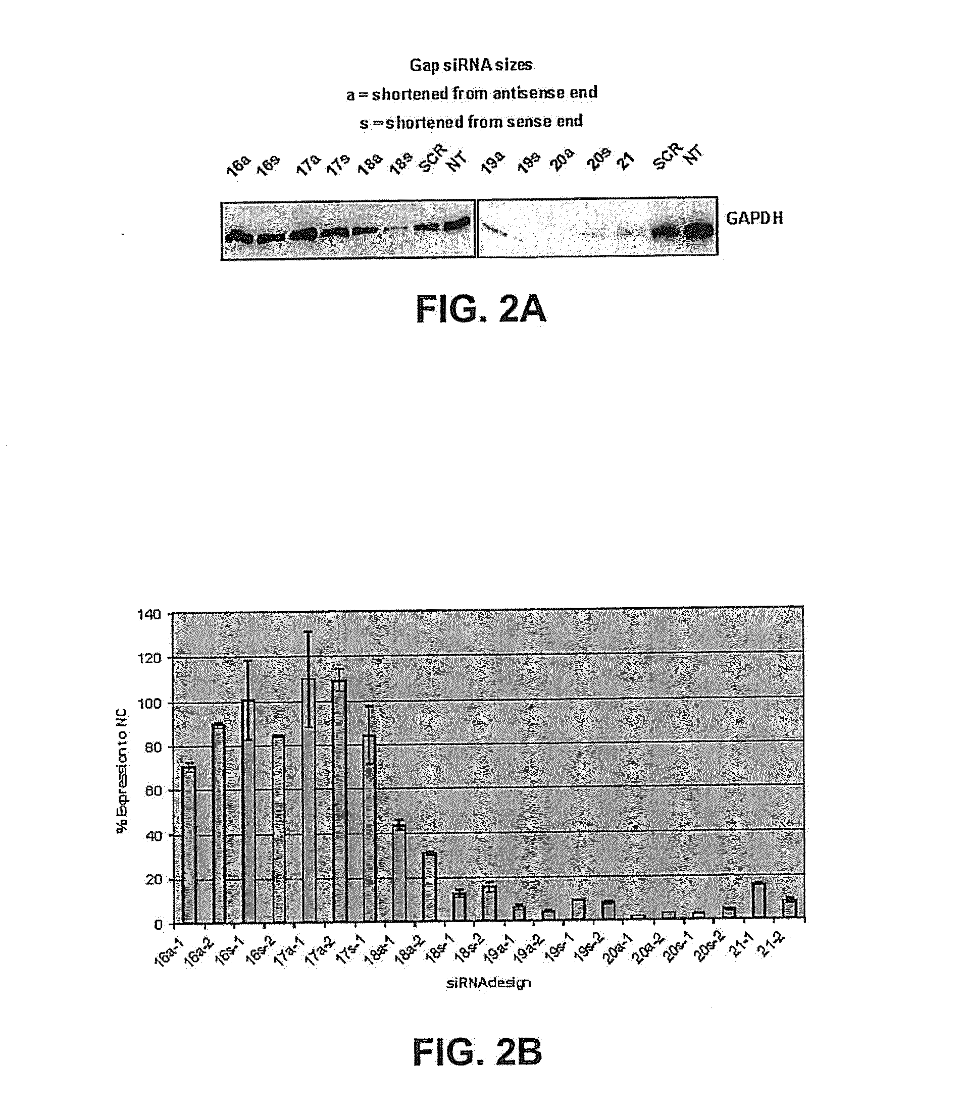 METHODS AND COMPOSITIONS CONCERNING siRNA'S AS MEDIATORS OF RNA INTERFERENCE