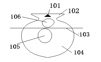 Device for taking scallop by opening scallop shell