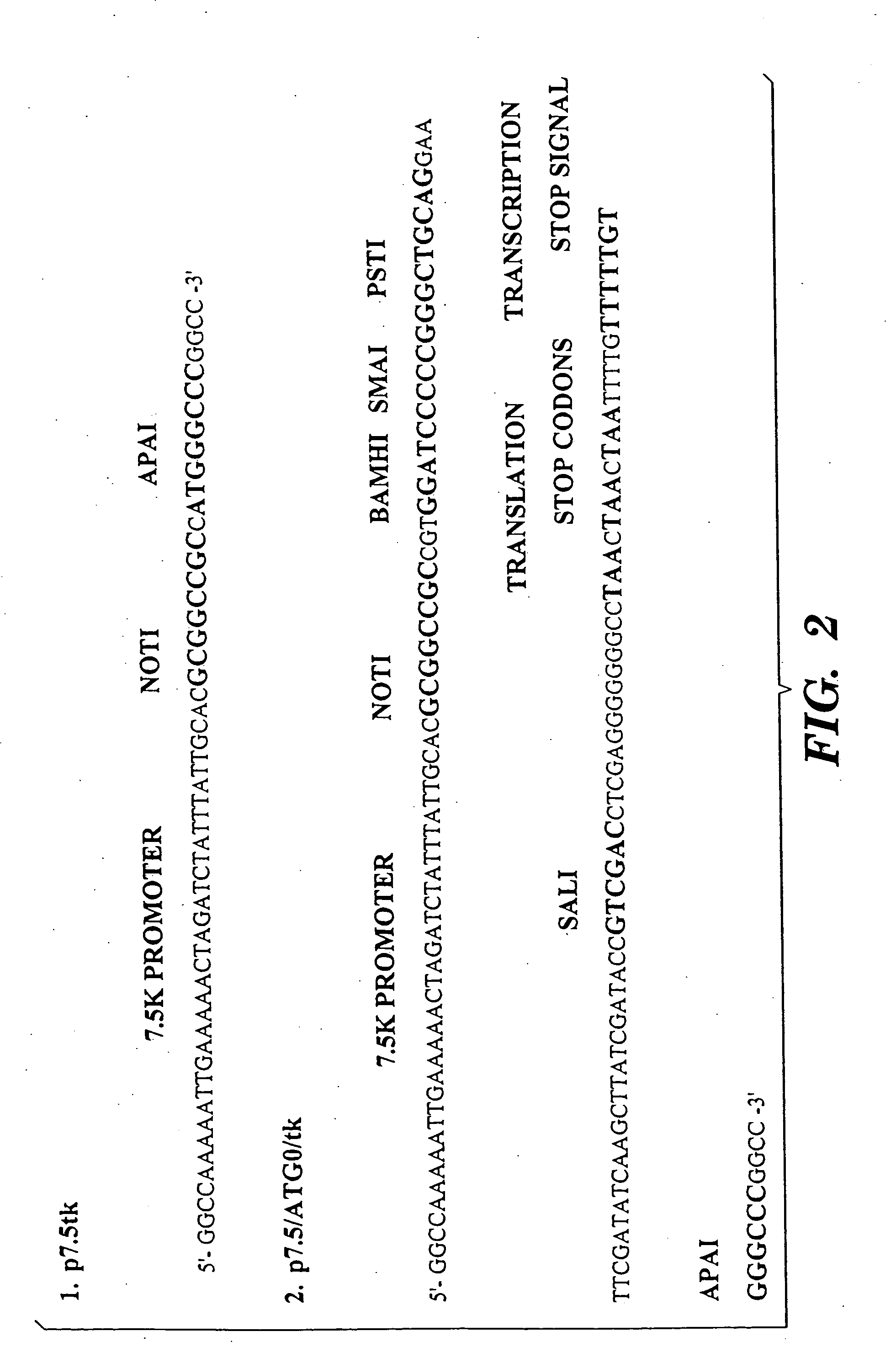 T cells specific for target antigens and methods and vaccines based thereon