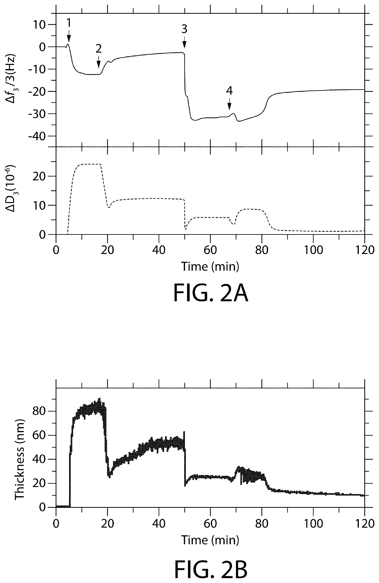 Oral care compositions and methods for anti-attachment polymers and coatings