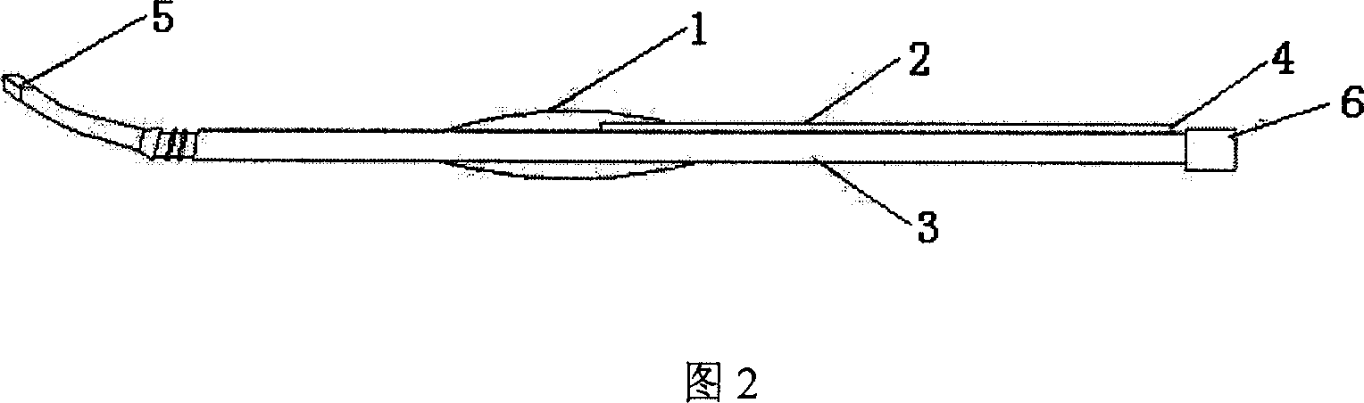 Saccule visualization puncture positioner