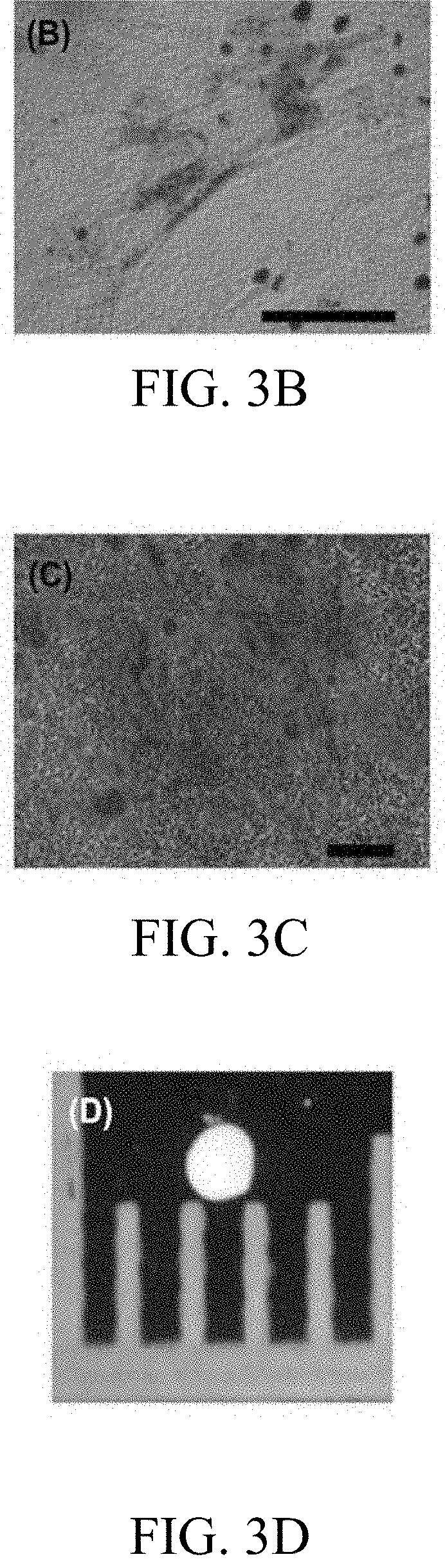 Mesenchymal stem cell derived exosomes and method for preventing or treating a joint disorder by administering a composition comprising the same