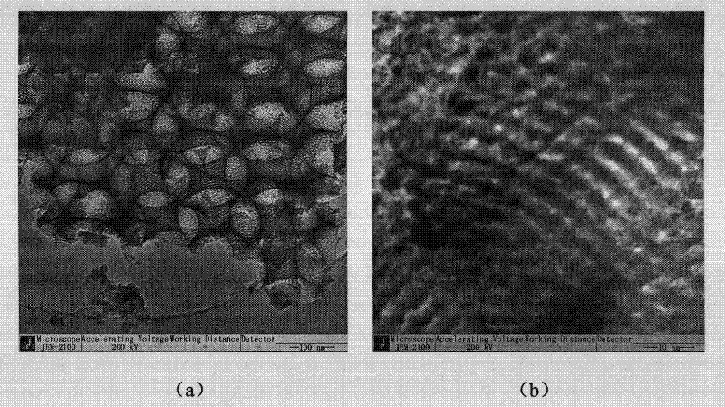 Macro pore/meso pore TiO2 film with high double ordered structure and preparation method thereof