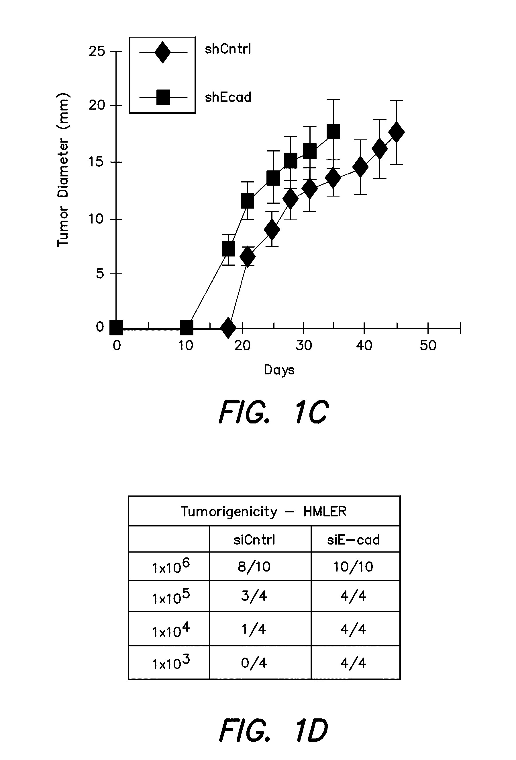 Methods for identification and use of agents  targeting cancer stem cells