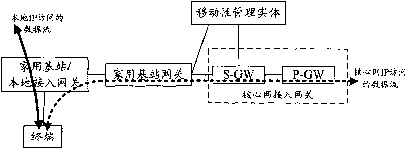 Method and system for realizing PDN connecting selection