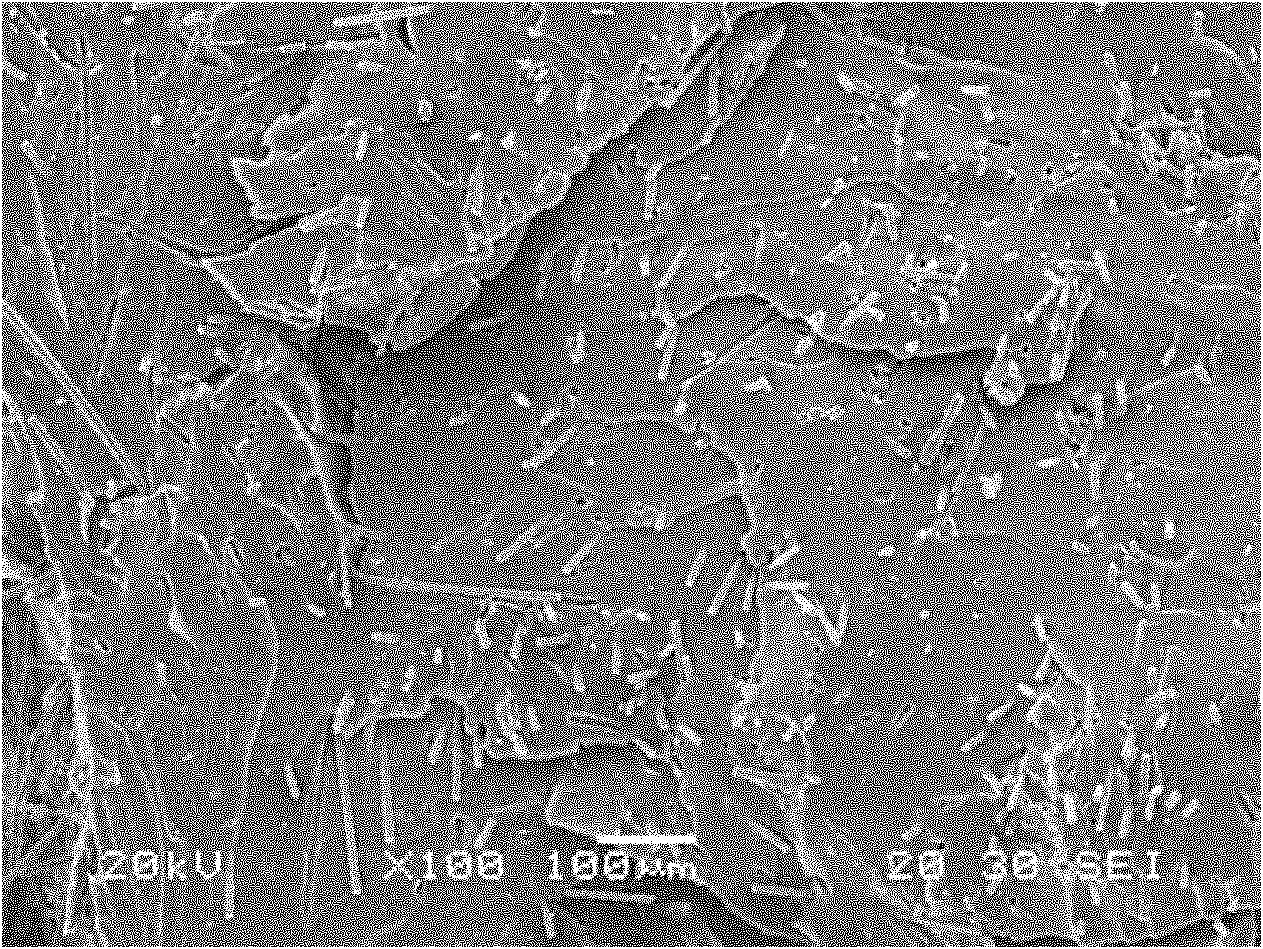 Preparation method of chopped carbon fiber reinforced phenolic resin base composite material