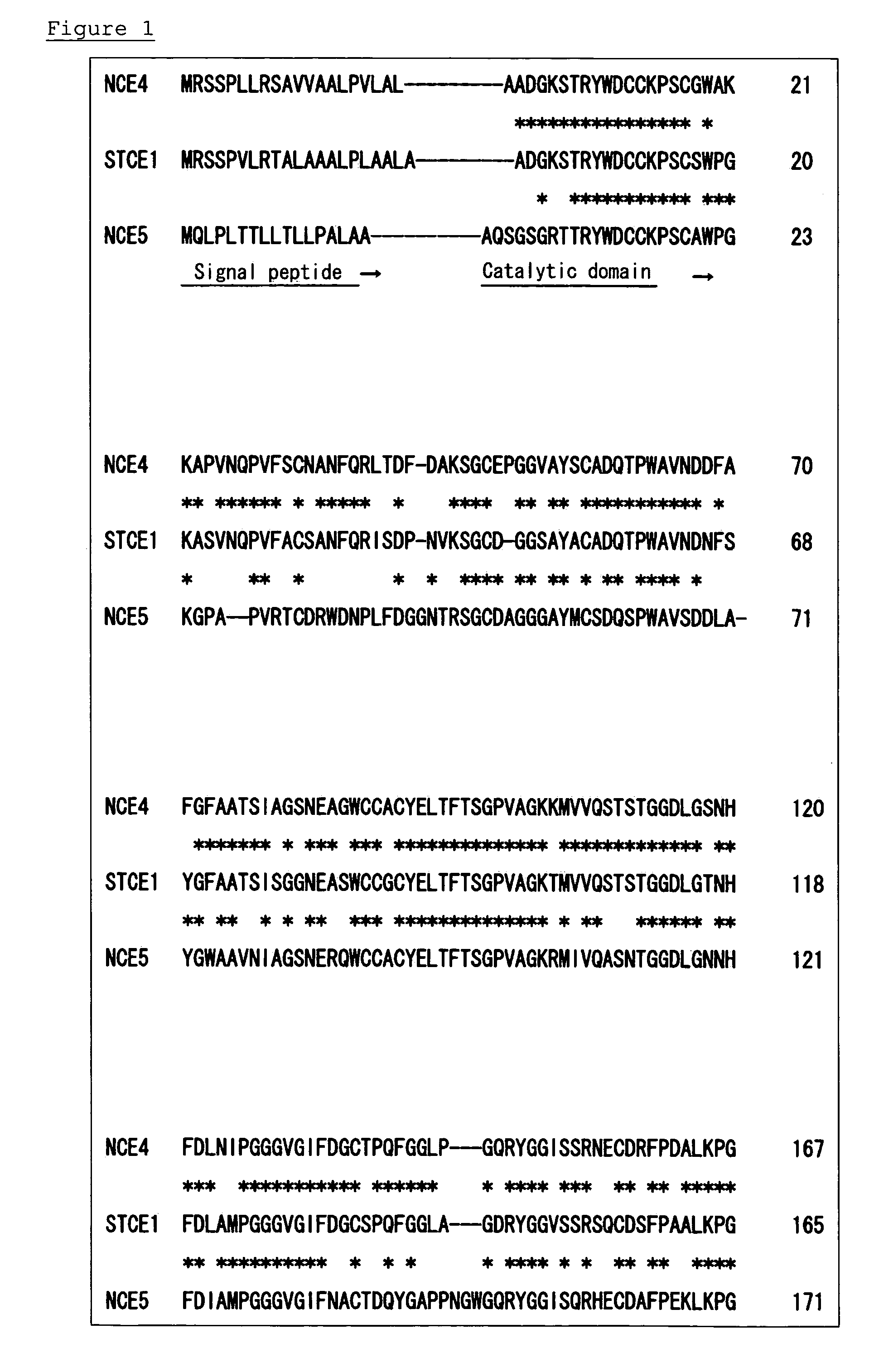Surfactant tolerant cellulase and method for modification thereof