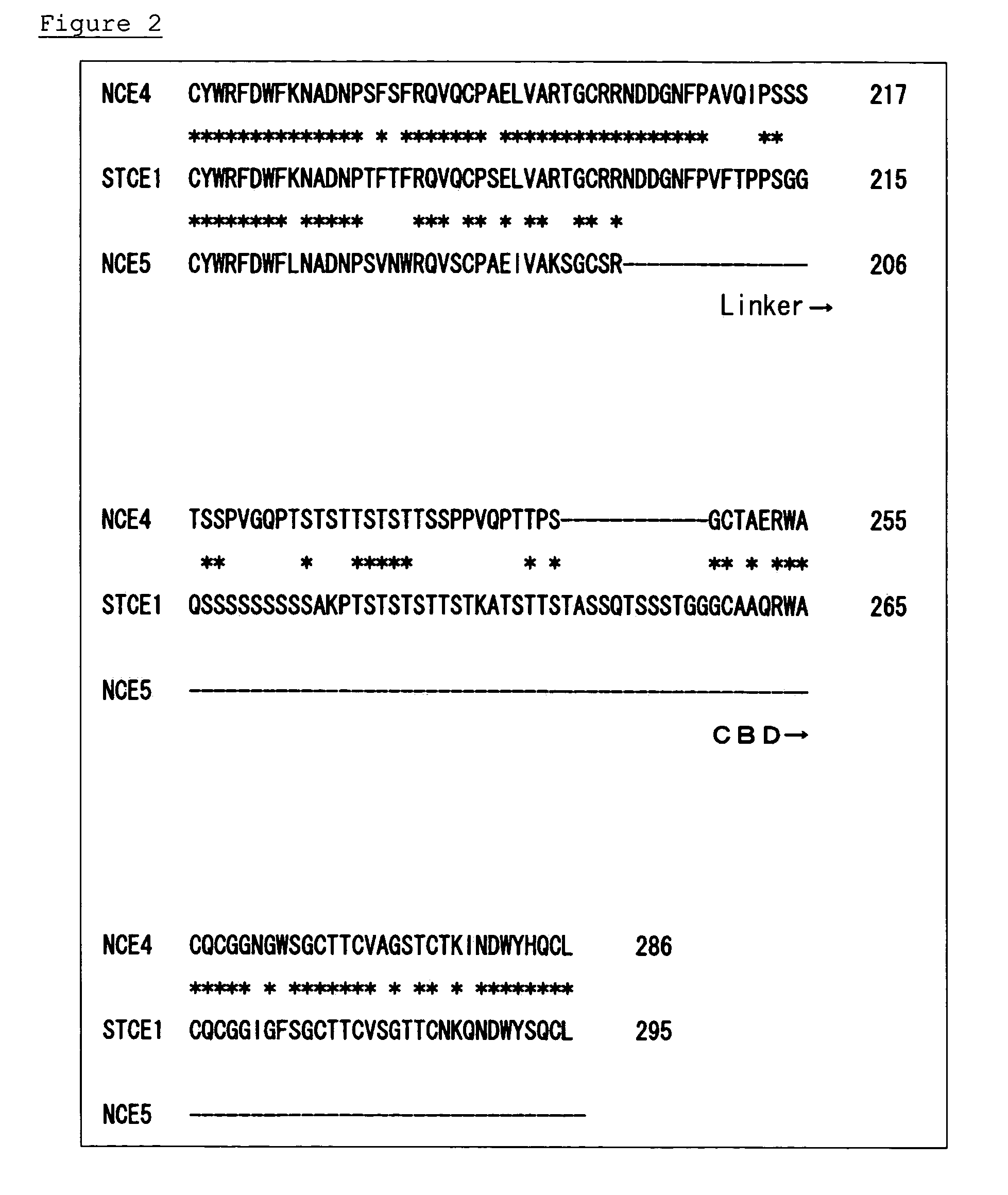 Surfactant tolerant cellulase and method for modification thereof