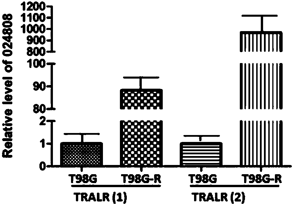 Application of lncRNA TRALR (long-chain non-coding RNA TRALR)