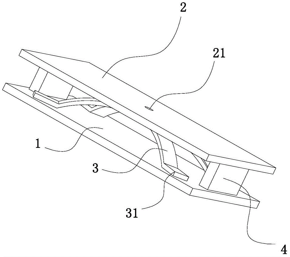 Road safety collision protection structure