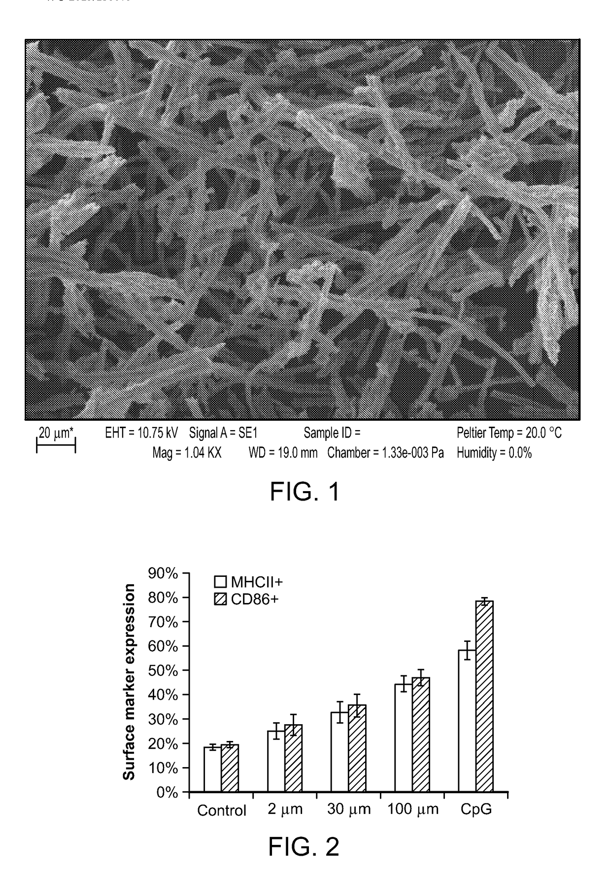 Mesoporous Silica Compositions for Modulating Immune Responses