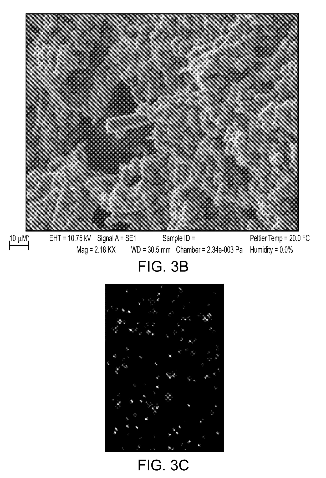 Mesoporous Silica Compositions for Modulating Immune Responses
