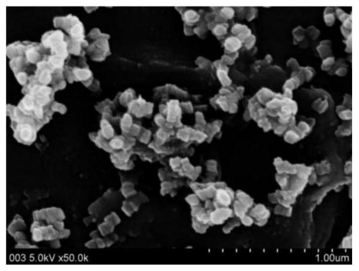 Preparation method of negative ion polyester fiber, cord fabric prepared from negative ion polyester fiber and application of negative ion polyester fiber