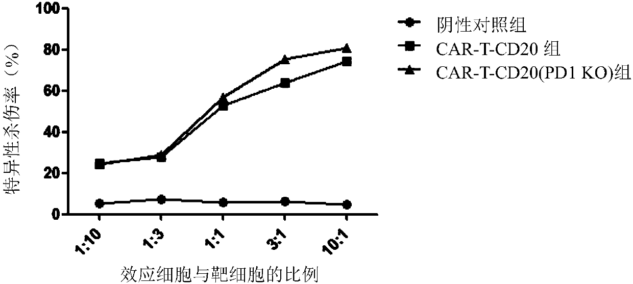 PD1-knockout chimeric antigen receptor T cell targeting CD20, preparation method and application thereof