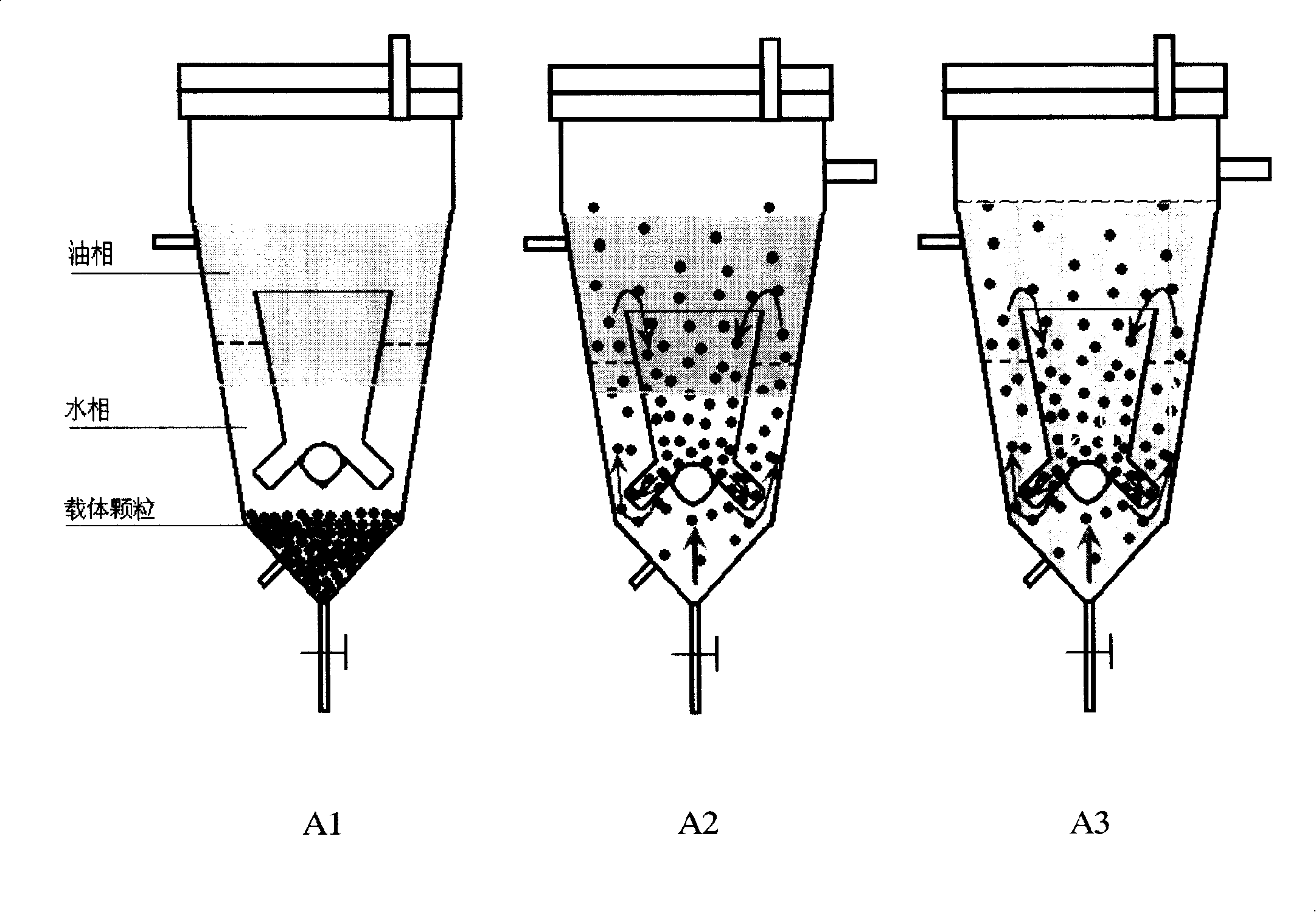 Fixation cell (or enzyme) internal circulation fluidized bed reactor and application thereof in organic phase biological catalysis