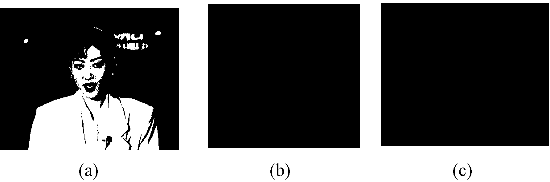 General video steganalysis method based on video pixel space-time relevance