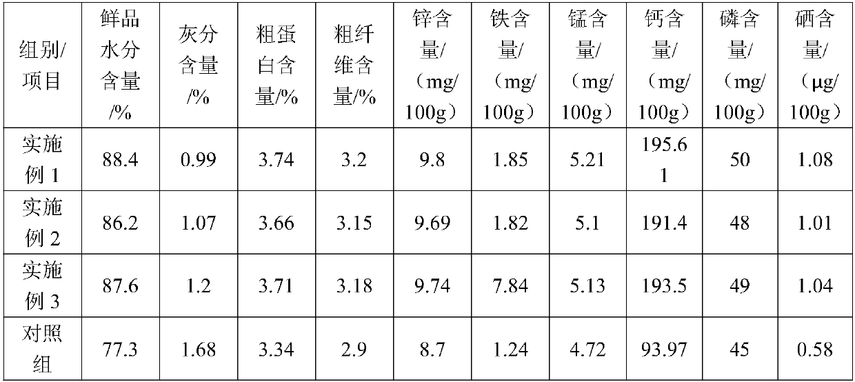 Planting method of selenium-enriched Enping acanthopanax trifoliatus