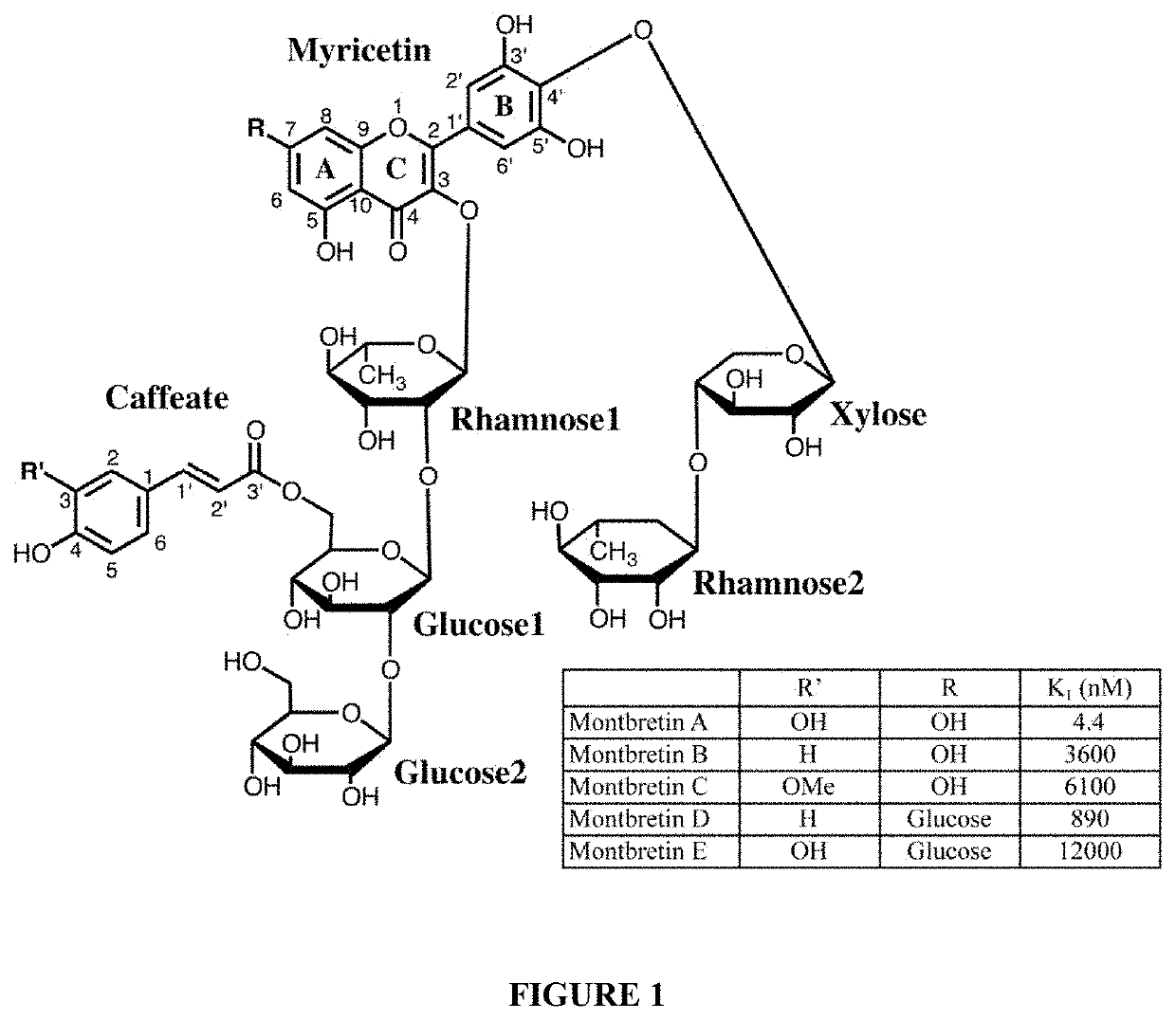 Amylase inhibitor compounds, methods of their use and compositions thereof