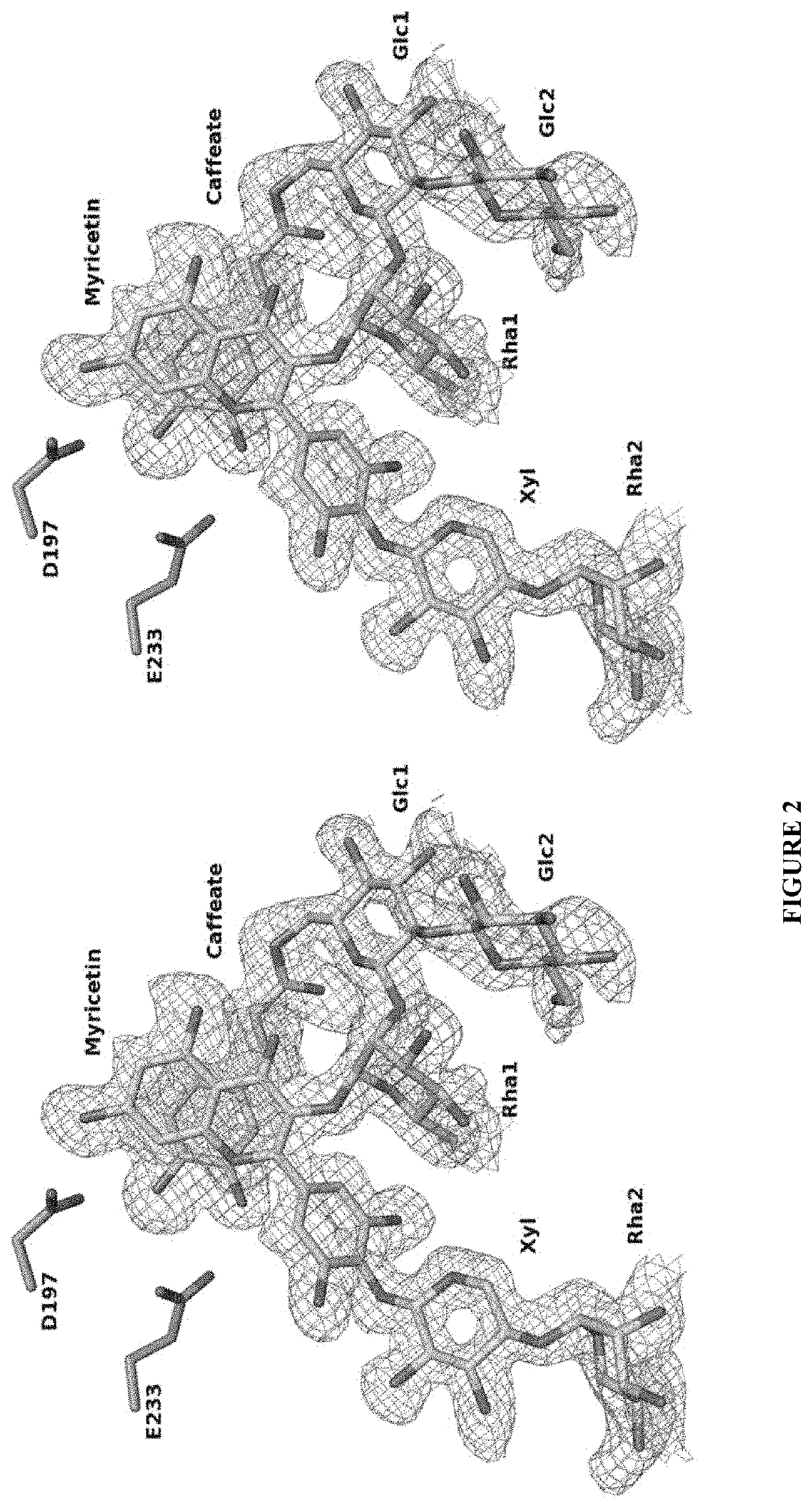 Amylase inhibitor compounds, methods of their use and compositions thereof