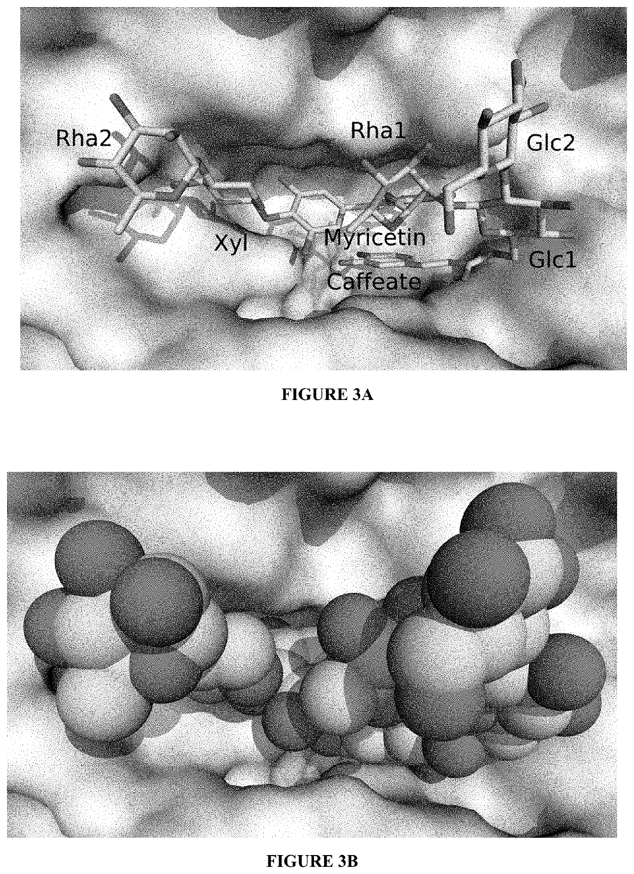 Amylase inhibitor compounds, methods of their use and compositions thereof