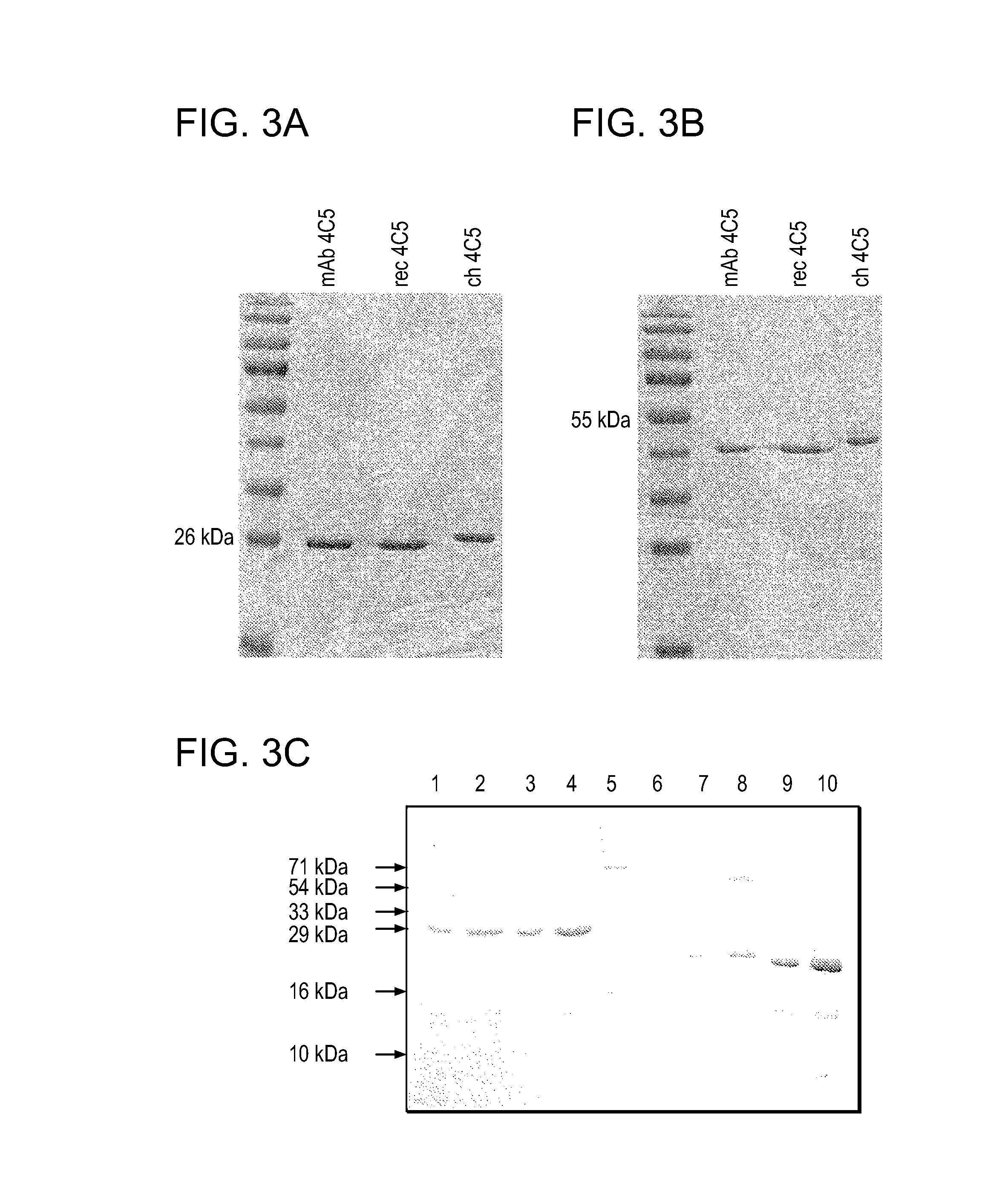 Compositions and methods for treating neoplasia