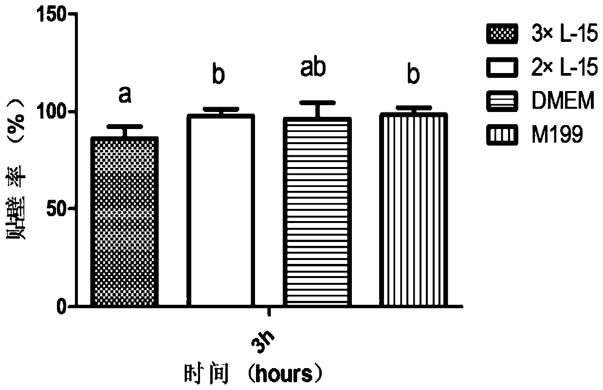 A method for the isolation and primary culture of Chinese mitten crab hepatopancreatic cells