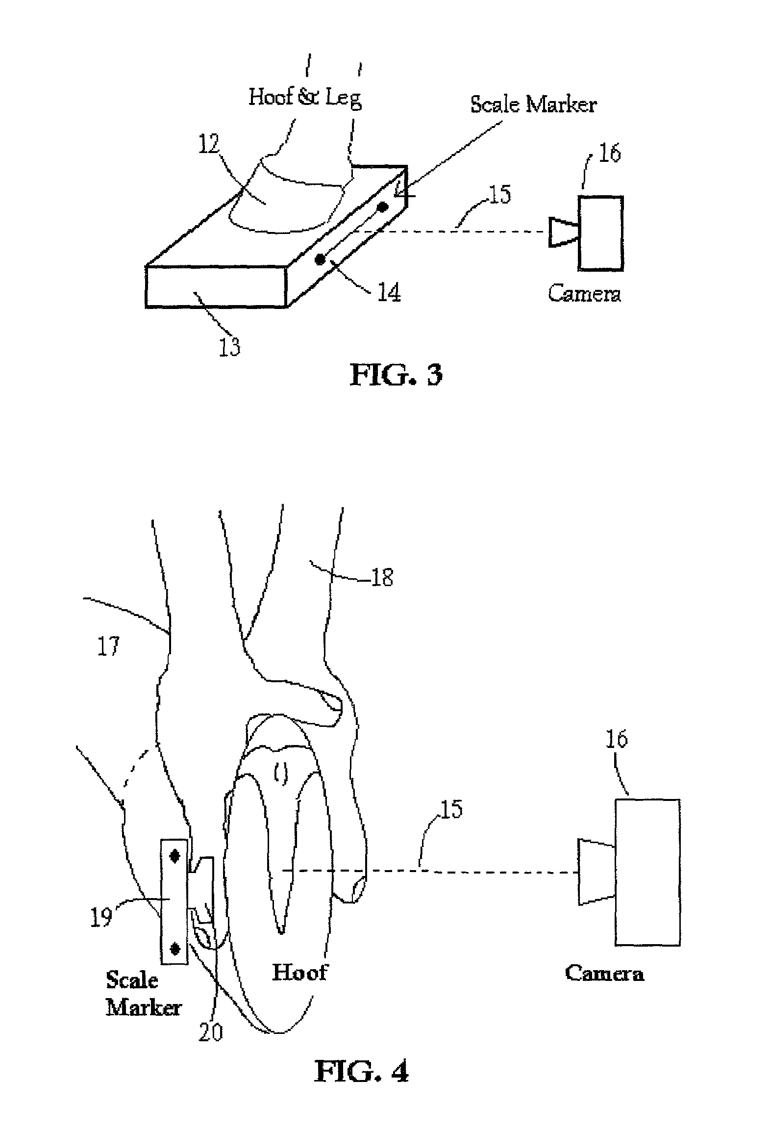 Method and system for analyzing animal digit conformation