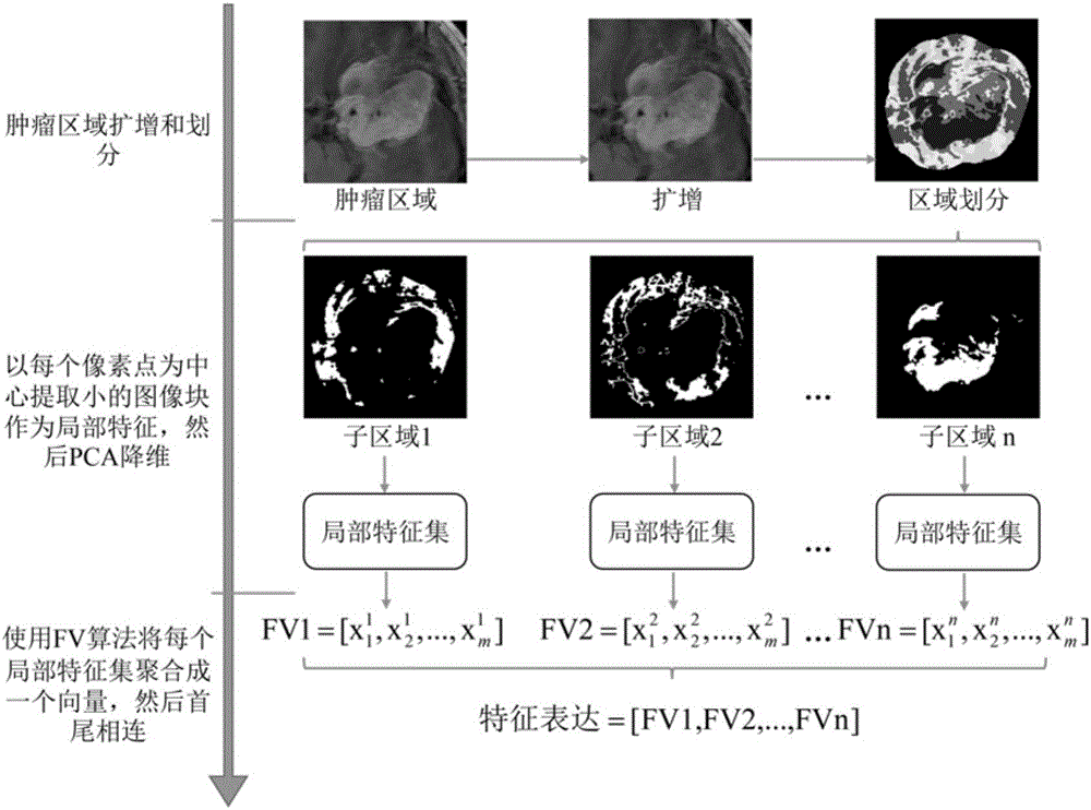 Medical lesion image feature expression method based on region division and Fisher vector