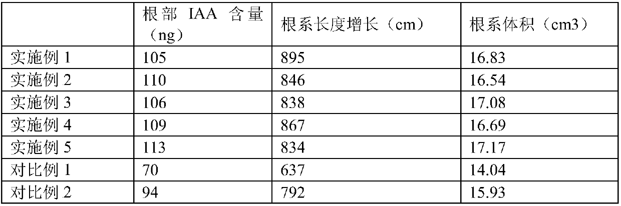 Garden ecological remediation system and construction method thereof