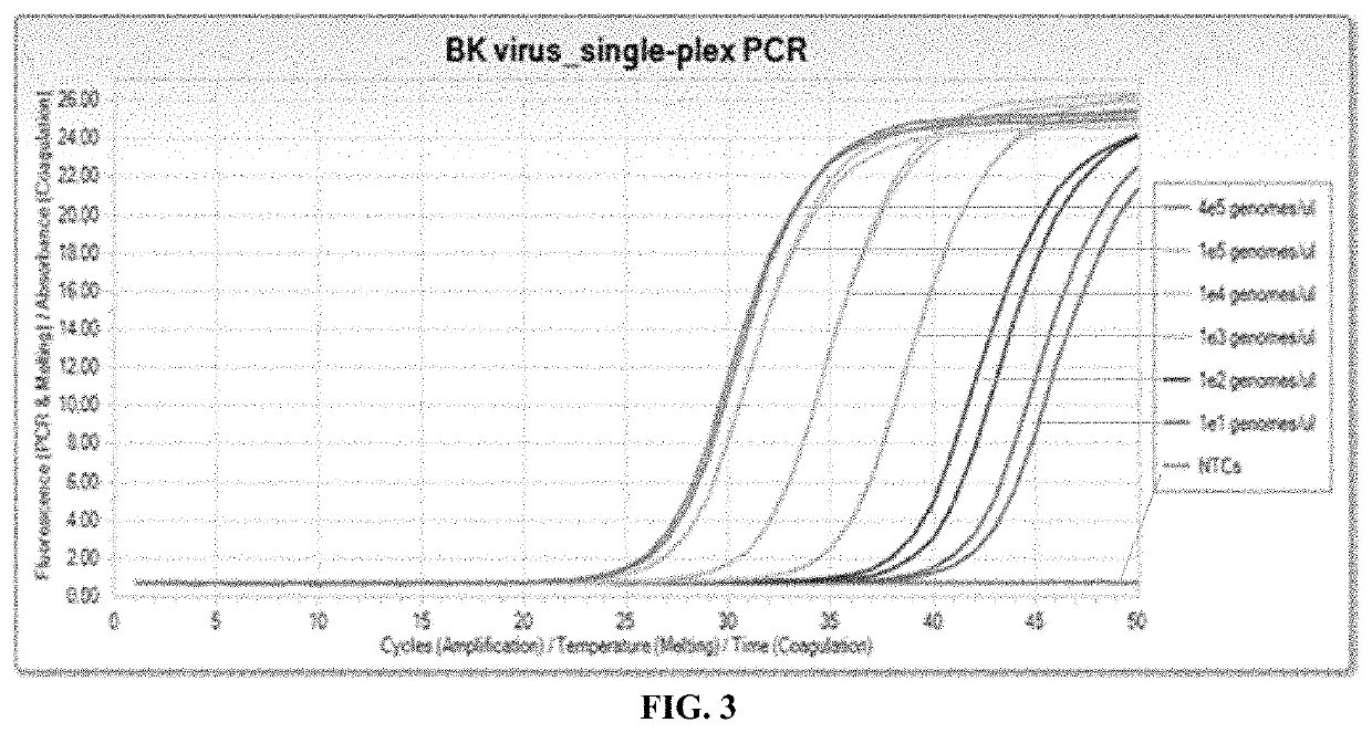 Compositions and methods for detection of BK virus