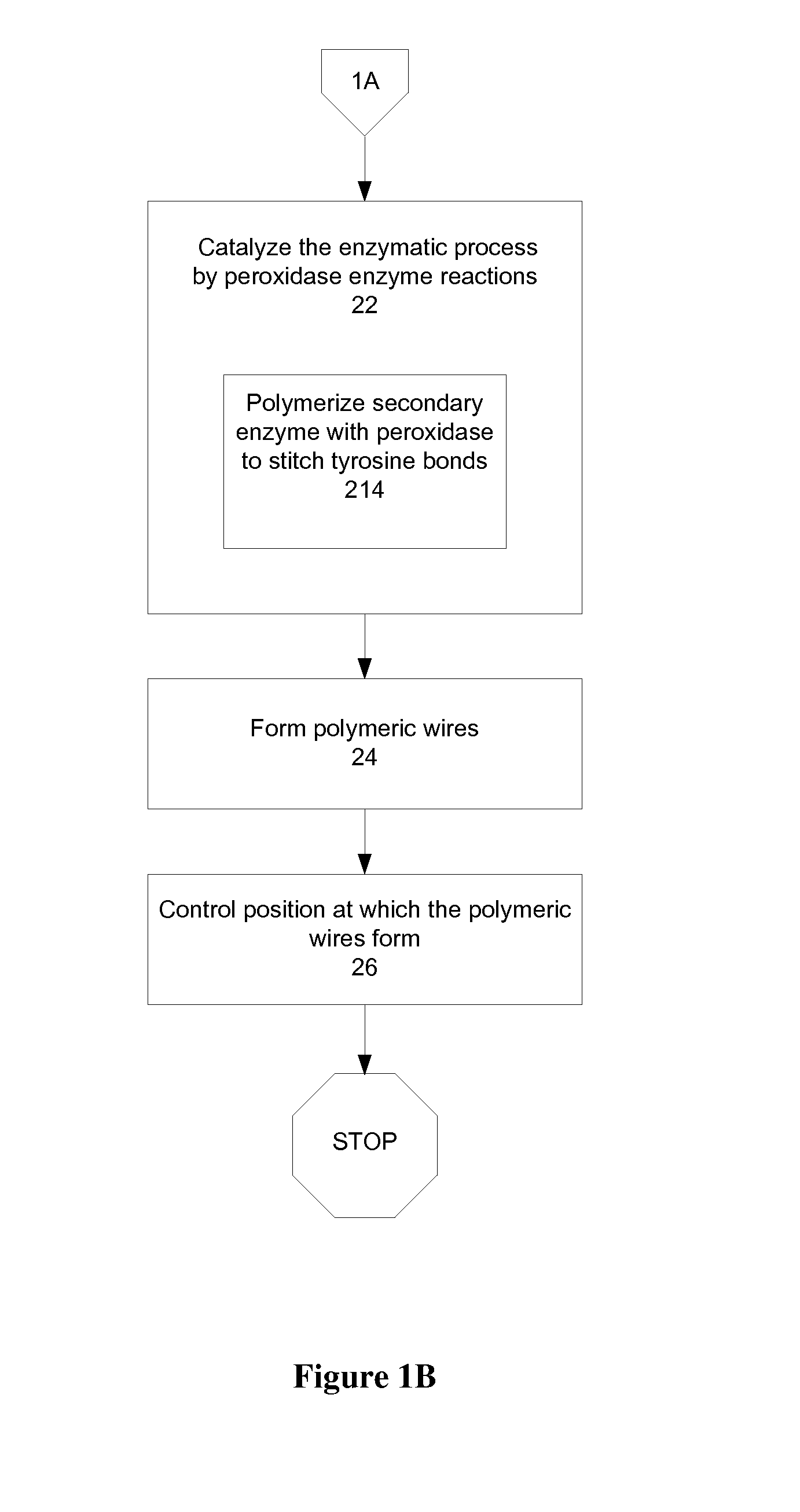 Electroactive biopolymer optical and electro-optical devices and method of manufacturing the same