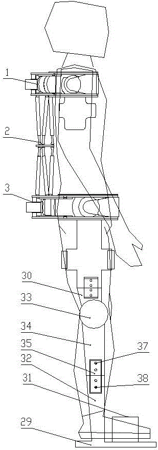 Human torso mechanical exoskeleton device used for connecting appendicular exoskeleton mechanisms