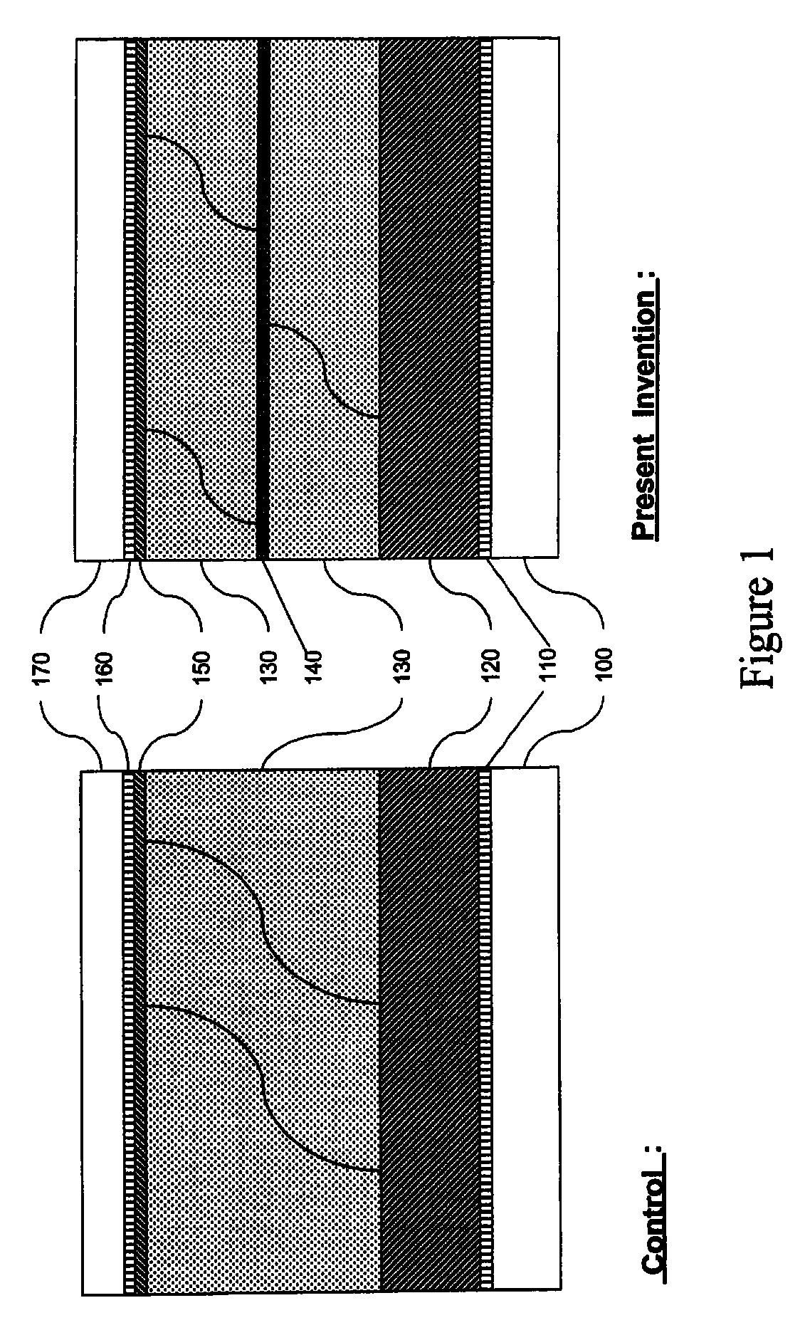 Apparatus and method for fracture absorption layer