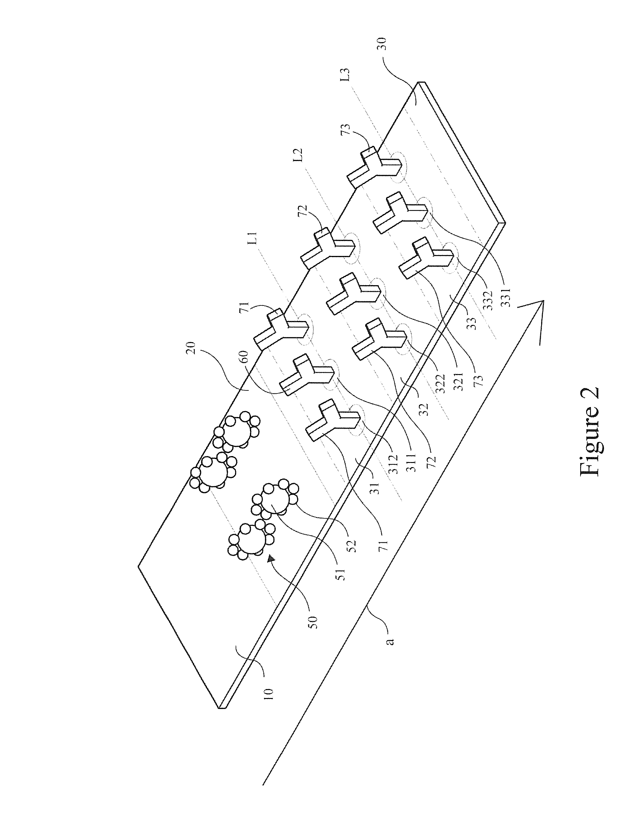 Device for detecting amplified products of nucleic acid
