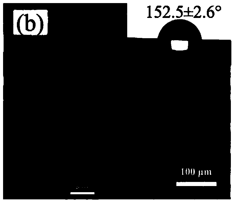 Super hydrophobic/super lipophilic filter cloth and preparation method thereof and application thereof in oil-water separation