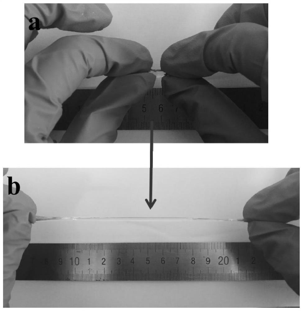 Highly conductive, stretchable and compressible, repairable zwitterionic gel polymer electrolyte and its preparation and application