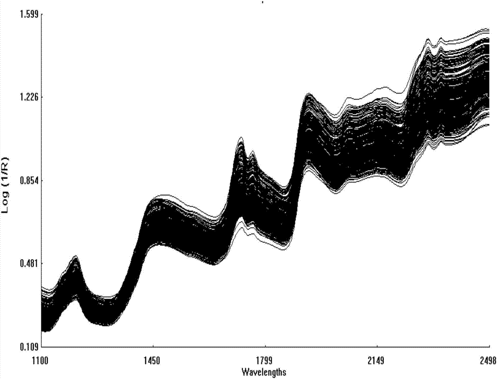 Method of quickly determining tocopherol content in cabbage type rape seeds by using near infrared spectrum