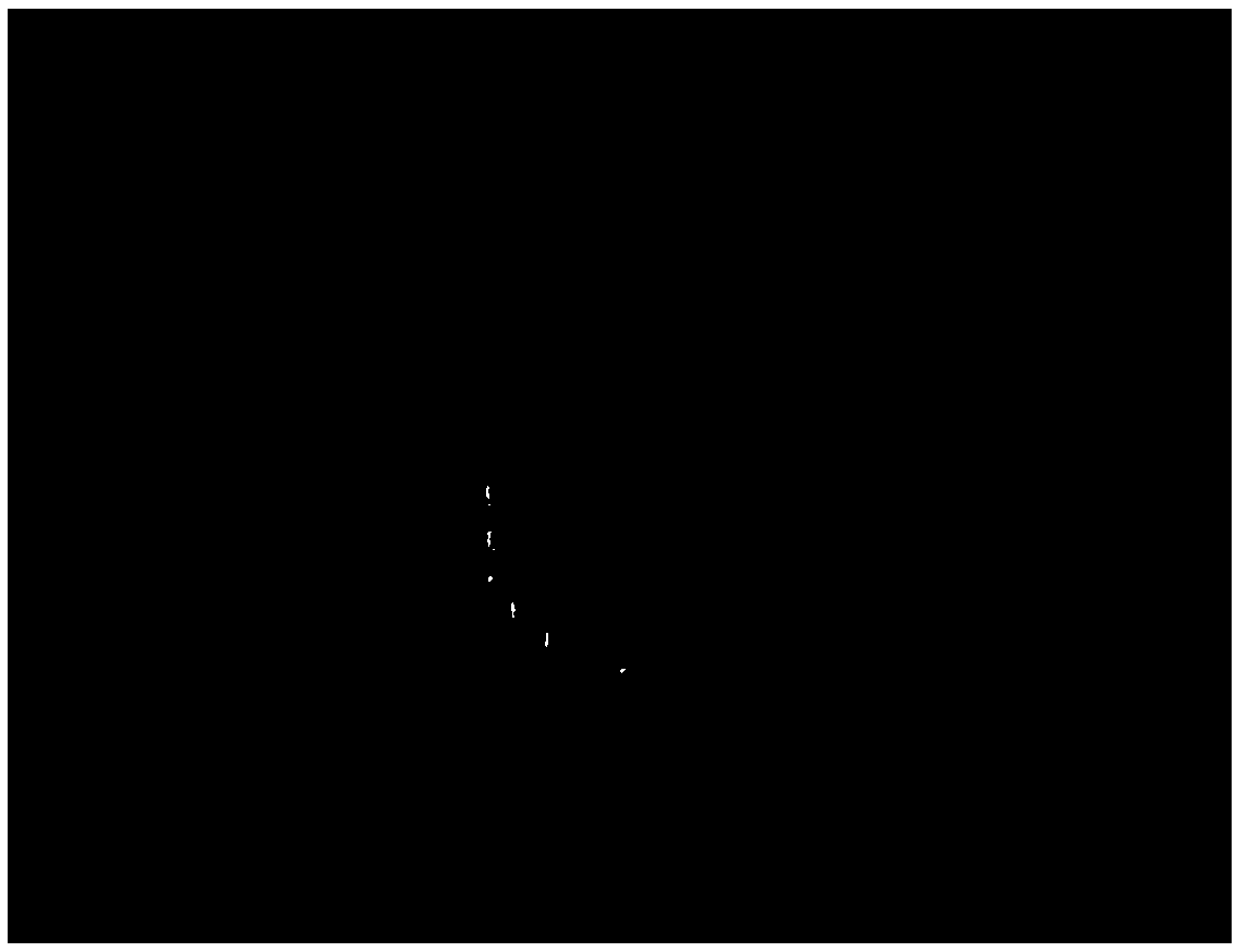 Pre-mixed strontium silicate-based biological hydraulic cementing paste composition as well as preparation method and application thereof