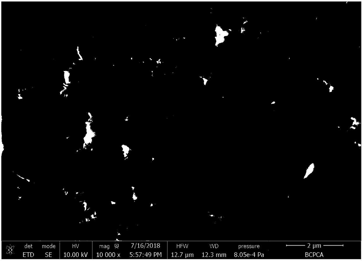 Pre-mixed strontium silicate-based biological hydraulic cementing paste composition as well as preparation method and application thereof