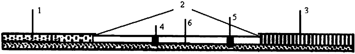 Fluorescent microsphere immunochromatographic test strip for detecting melamine residue and its preparation method and application