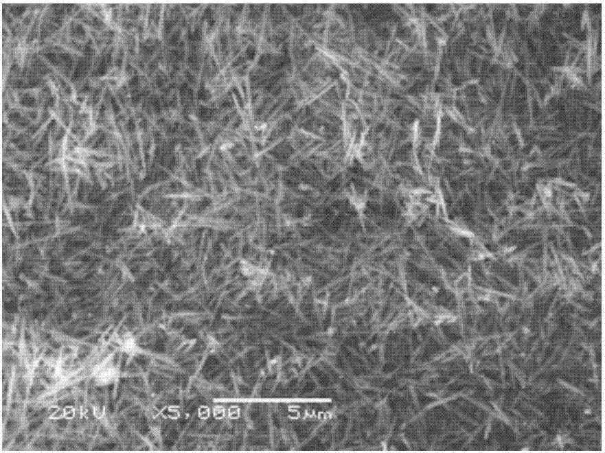 Preparation and application methods of hydrous ferrovanadium oxide as aqueous magnesium ion battery cathode material