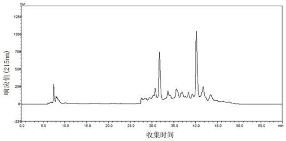 A kind of antioxidative peptide of columnar Agrocybe edodes and its use