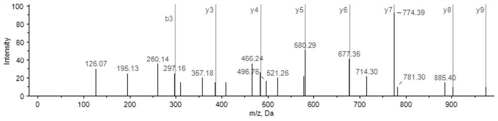 A kind of antioxidative peptide of columnar Agrocybe edodes and its use