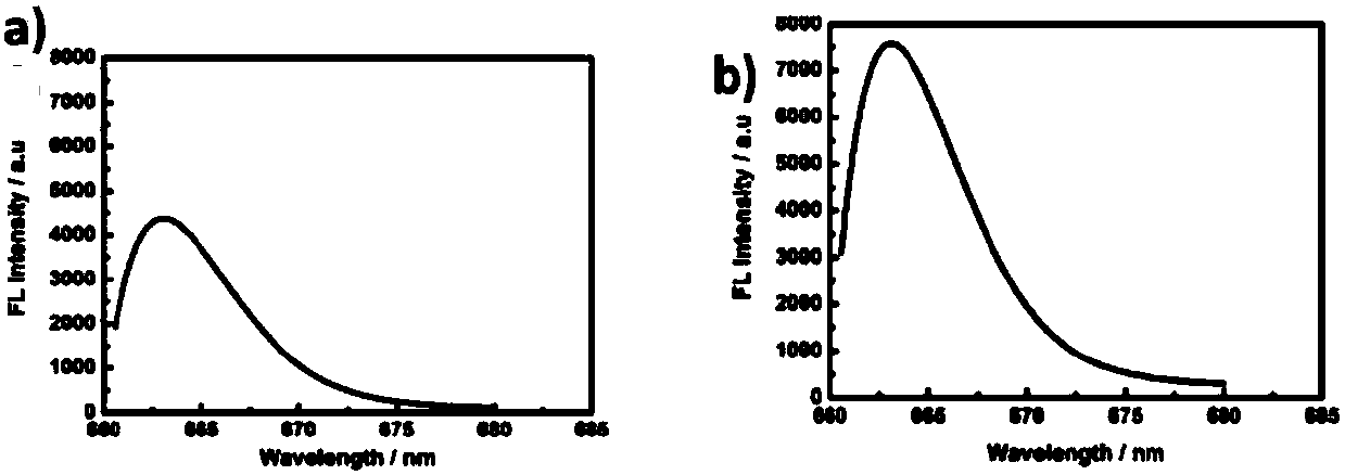 Fluorescence detection agent for p53 protein, and preparation method and application thereof