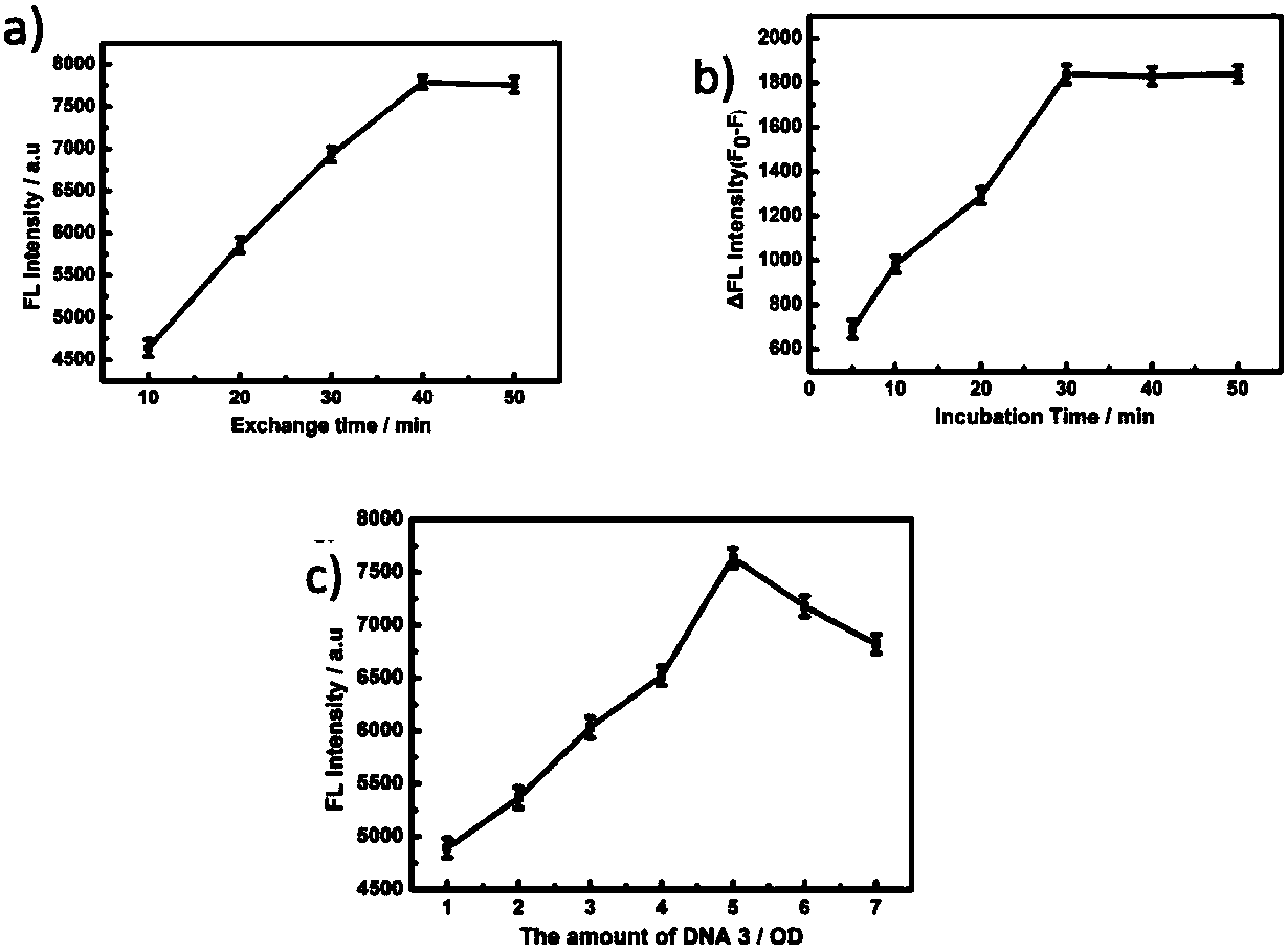 Fluorescence detection agent for p53 protein, and preparation method and application thereof