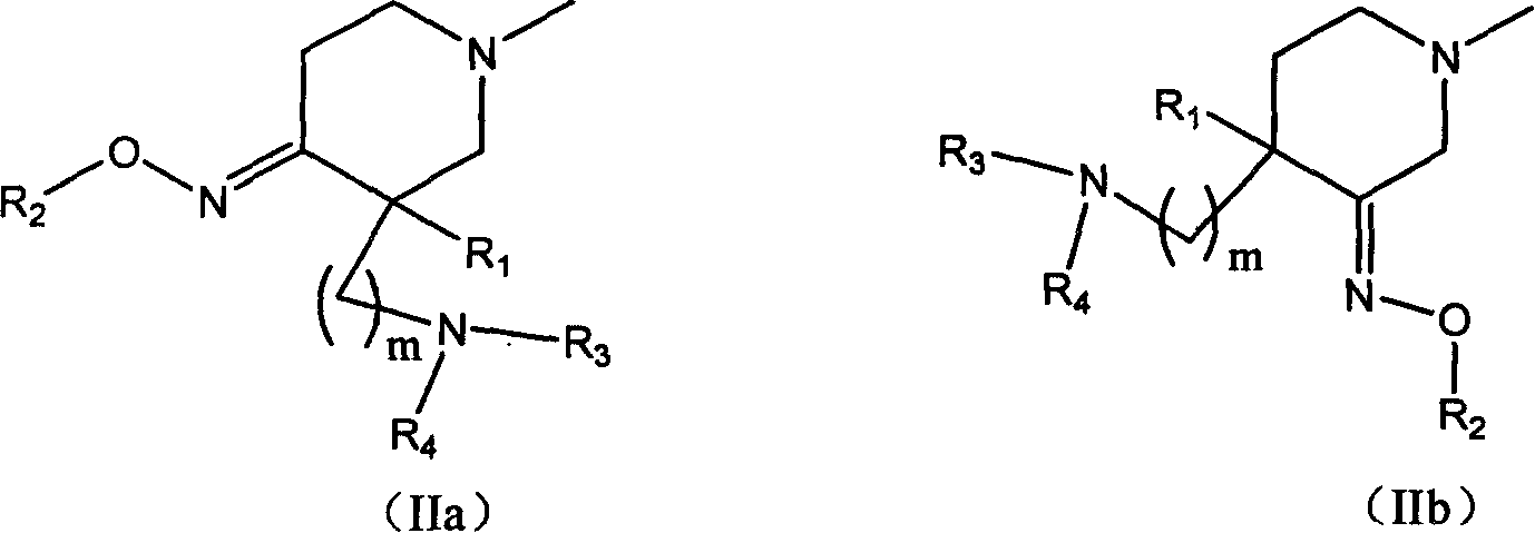 Quinolone compound containing oximino, and its preparing method and use