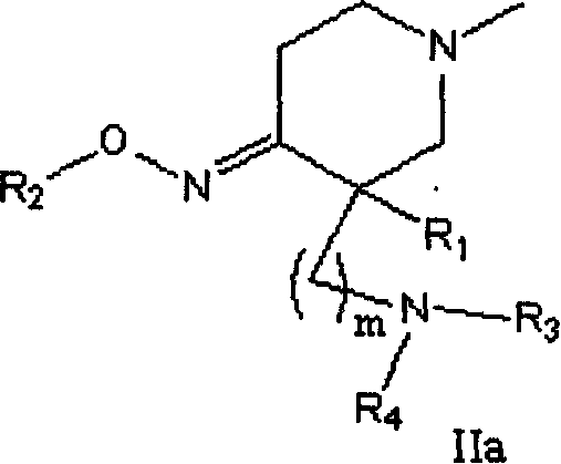 Quinolone compound containing oximino, and its preparing method and use