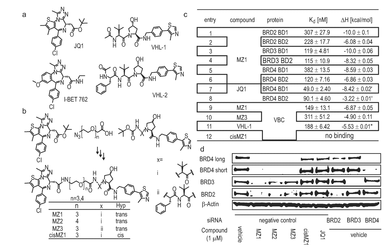 Derivatives of 1-[(cyclopentyl or 2-pyrrolidinyl)carbonylaminomethyl]-4-(1,3-Thiazol-5-yl) benzene which are Useful for the Treatment of Proliferative, Autoimmune or Inflammatory Diseases