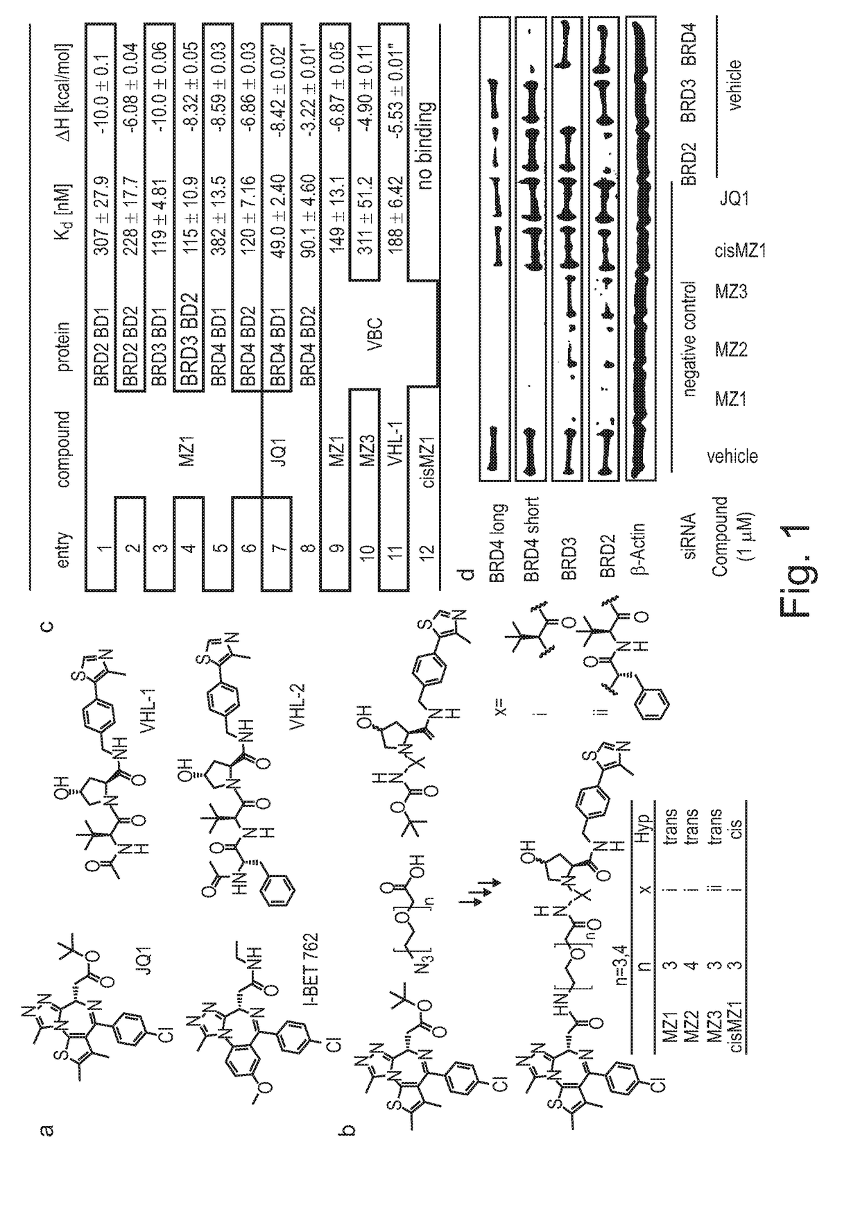 Derivatives of 1-[(cyclopentyl or 2-pyrrolidinyl)carbonylaminomethyl]-4-(1,3-Thiazol-5-yl) benzene which are Useful for the Treatment of Proliferative, Autoimmune or Inflammatory Diseases