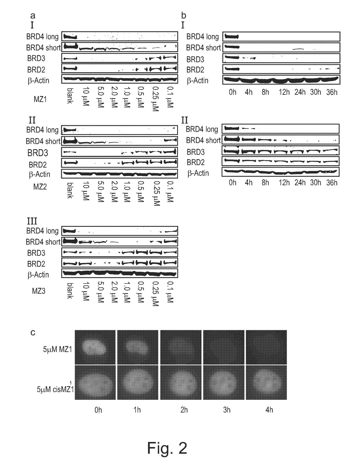 Derivatives of 1-[(cyclopentyl or 2-pyrrolidinyl)carbonylaminomethyl]-4-(1,3-Thiazol-5-yl) benzene which are Useful for the Treatment of Proliferative, Autoimmune or Inflammatory Diseases